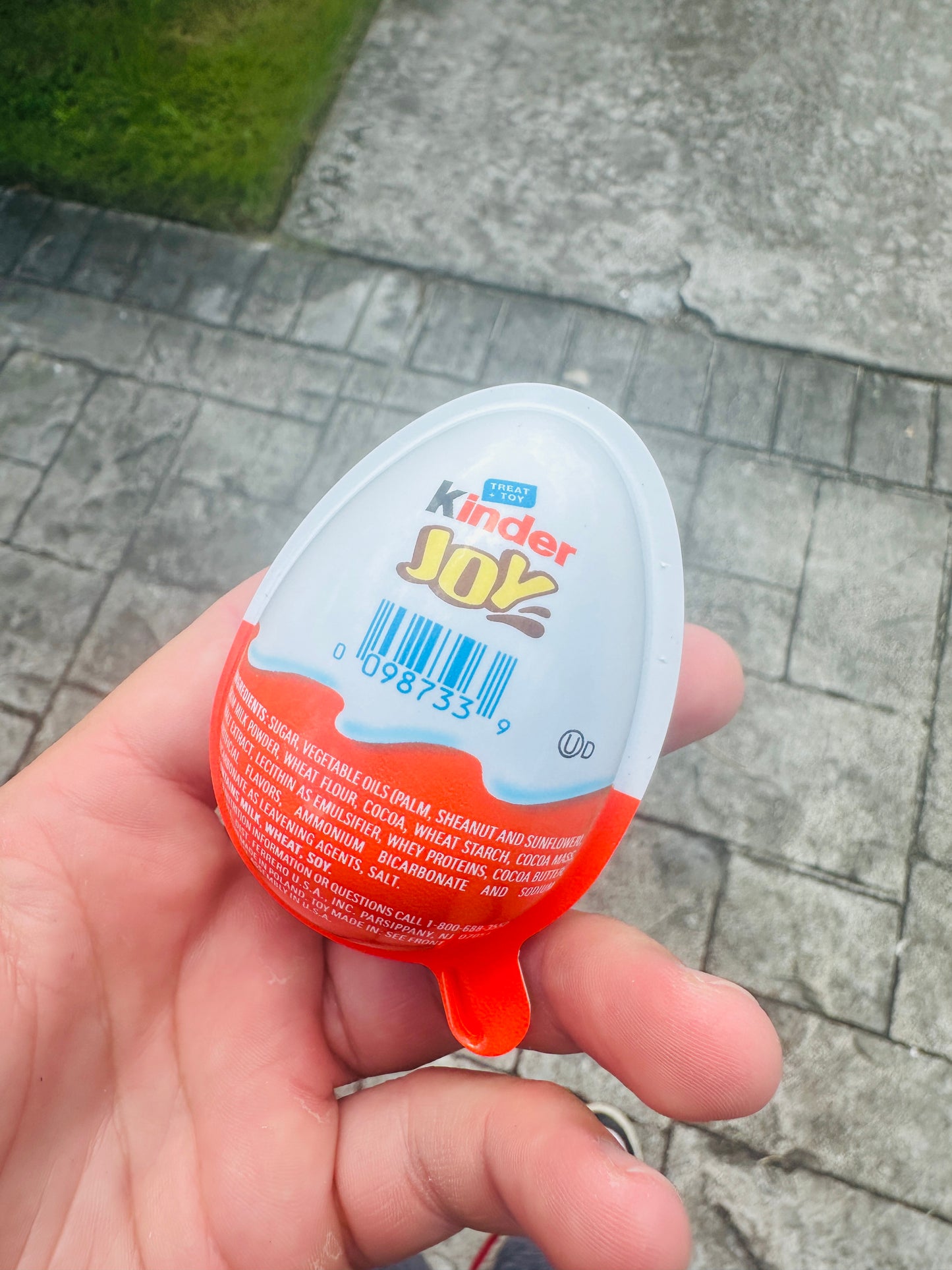 Kinder Joy - Harry Potter Quidditch Collection (Funko Edition)
