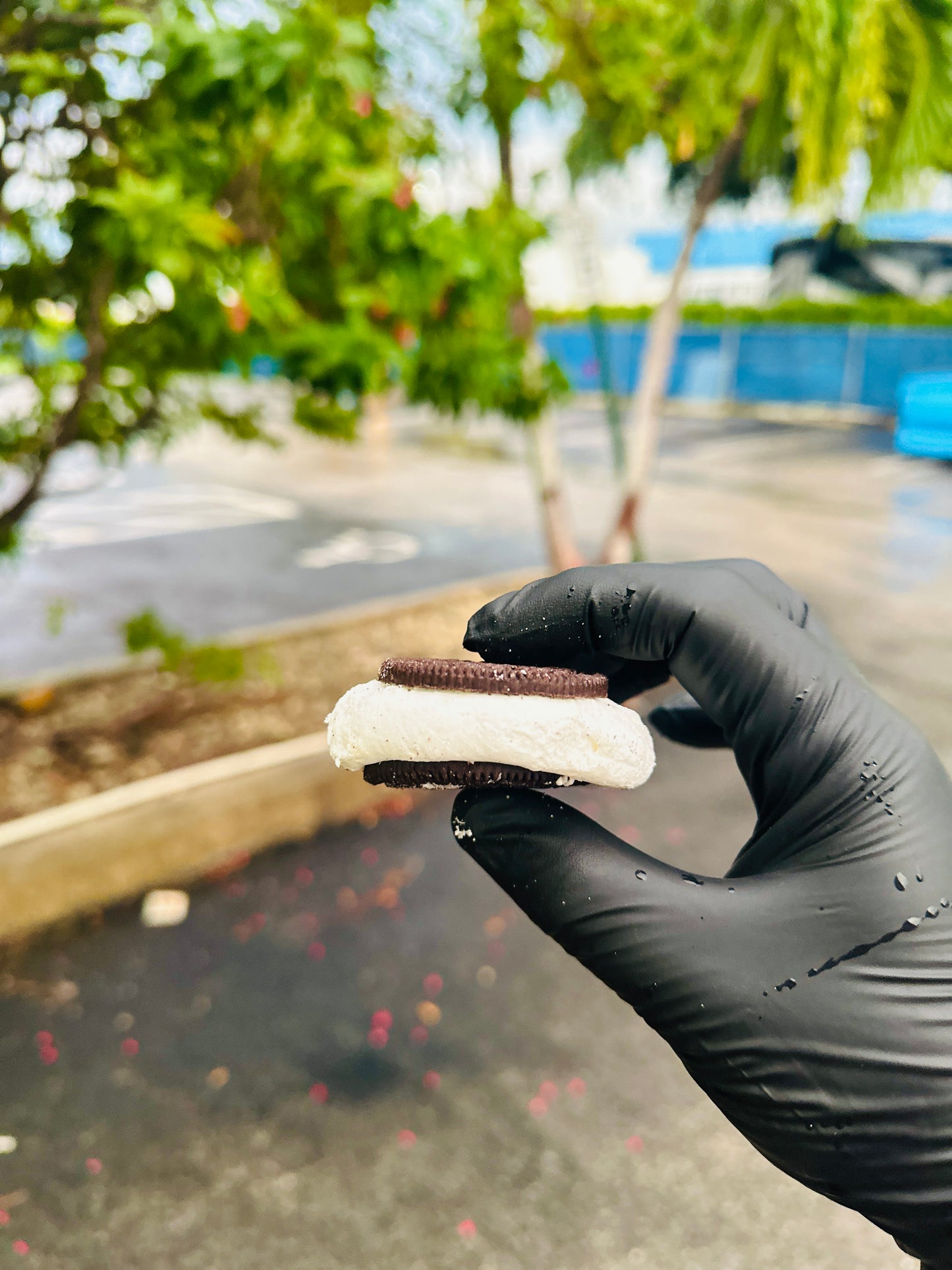 Cookies & Kreams