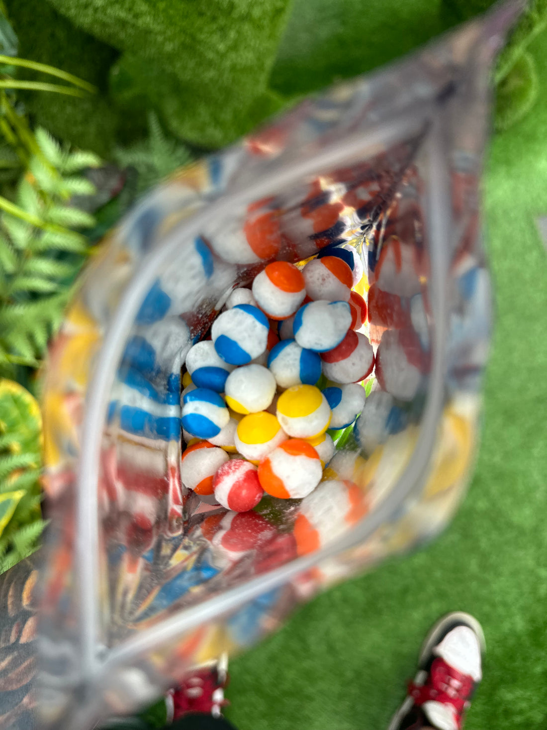 The Magic Behind Freeze-Dried Candy: How It’s Made
